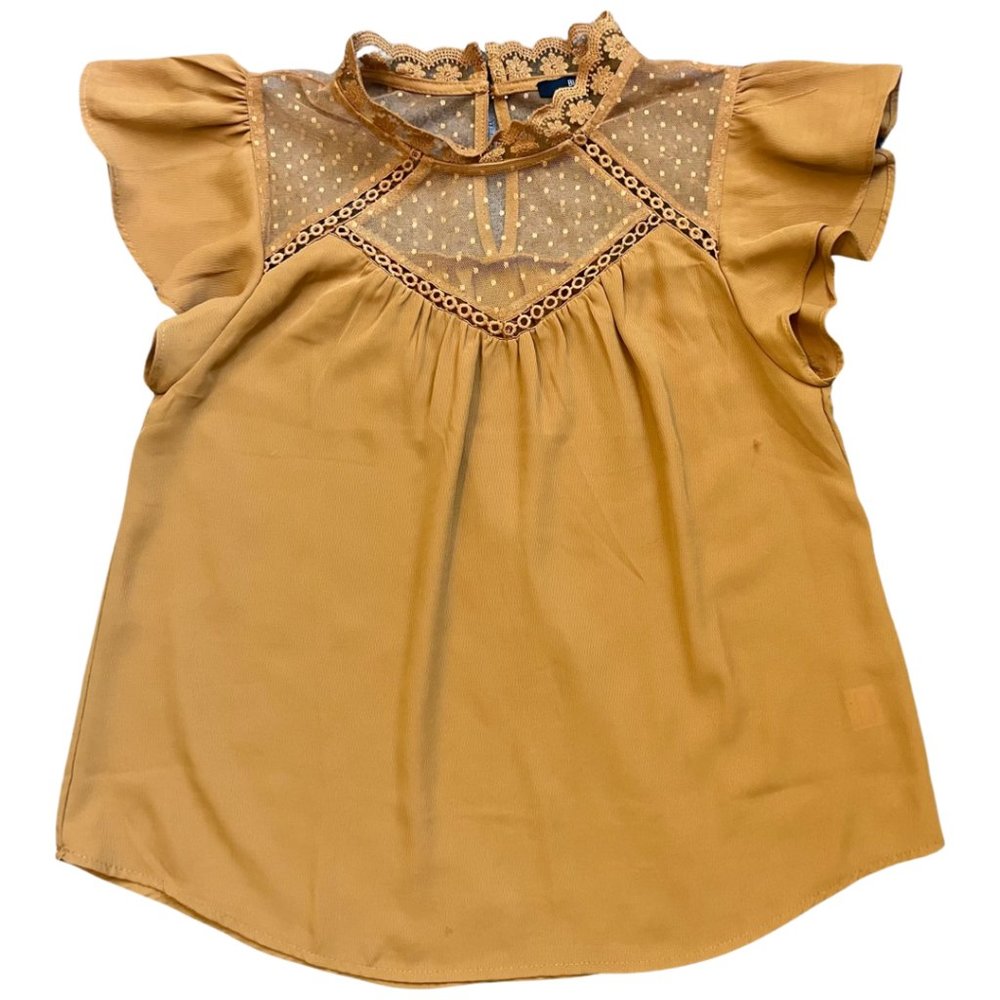 Victorian Style Chiffon Lace Blouse